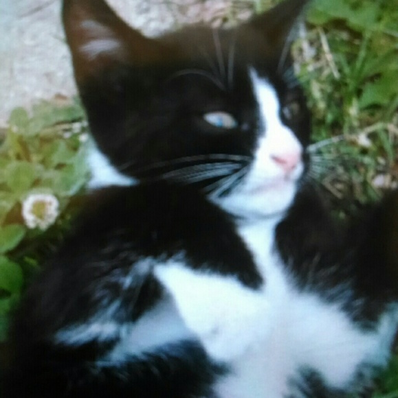 Meet your Posher, Alexia - Picture 8 of 8